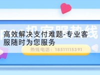 *解决支付难题-专业客服随时为您服务